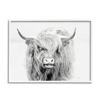 Stupell Industries Ekspresivno goje goveda jednobojni životinjski portret fotografija bijela uokvirena umjetnička