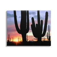 Stupell Industries pustinjski kaktus siluete zalaska sunca Pejzažna Fotogalerija ispisana na omotanom platnu zidna