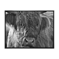 DesignArt 'izbliza škotske gorjane krave koje žive na seoskoj kući moorlanda uokvireni platno zidni umjetnički